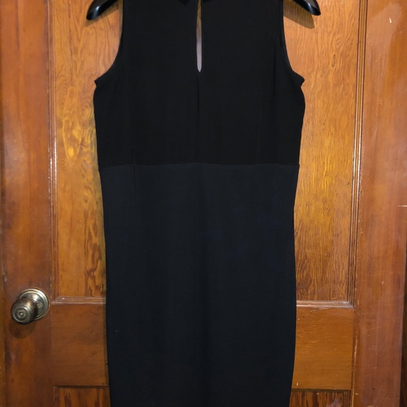 Perfect Work Dress, Collar & Button-down - Picture 3 of 4